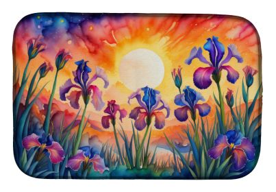 Iris in Color Dish Drying Mat Absorbent Dish Drying Mat Pad for Kitchen Counter Dish Drainer Mat for Countertop, 14 x 21", Multicolor